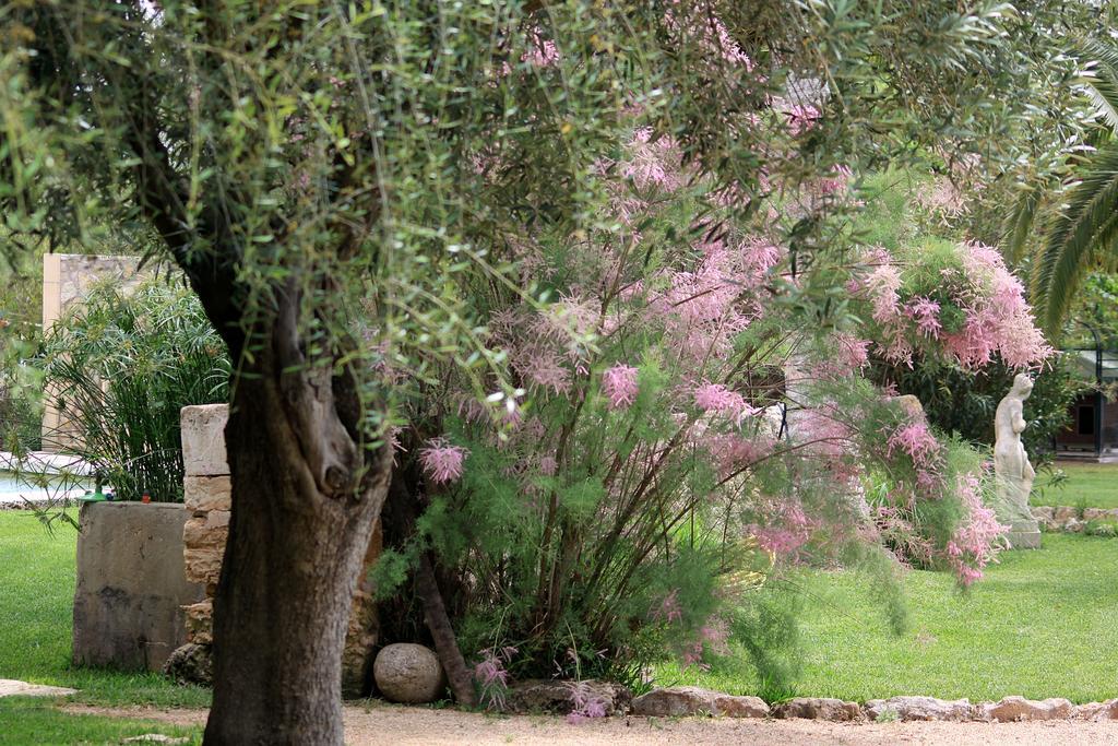 Petit Es Figueral Campos (Mallorca)