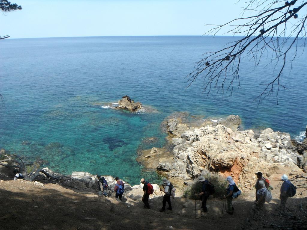 Petit Es Figueral 3* Campos (Mallorca)