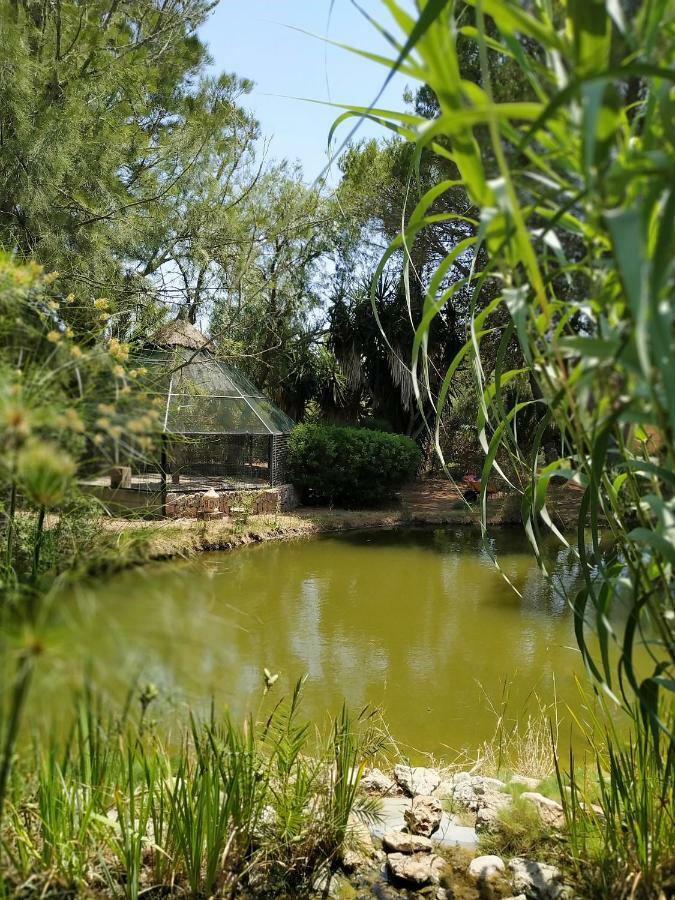 Hotel Petit Es Figueral Campos (Mallorca)
