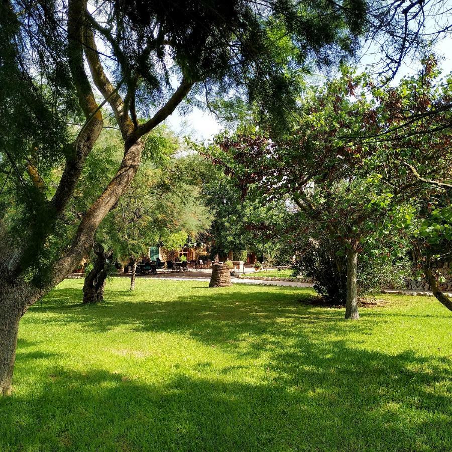 Hotel Petit Es Figueral Campos (Mallorca)